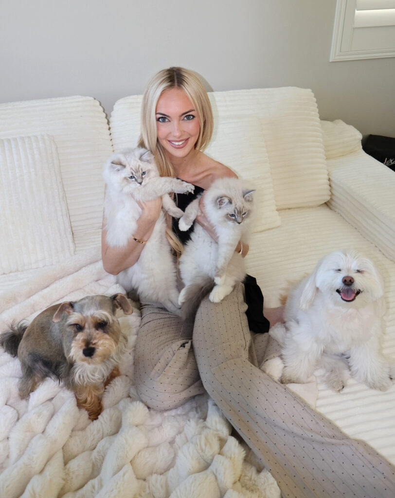 Rockcreek Ragdolls Elsa and Stormy