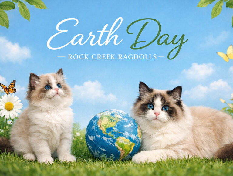 GRAPHIC - ROCK CREEK RAGDOLLS EARTH DAY