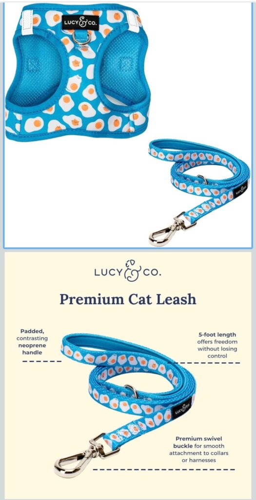 LUCY & CO CAT HARNESS EXAMPLE - BLUE