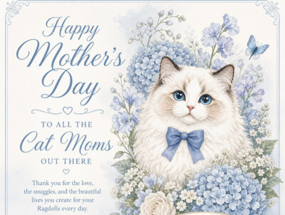 Graphic - Happy mothers day from Rock Creek Ragdolls